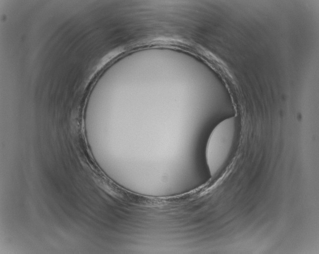 X0000083041170200702020935