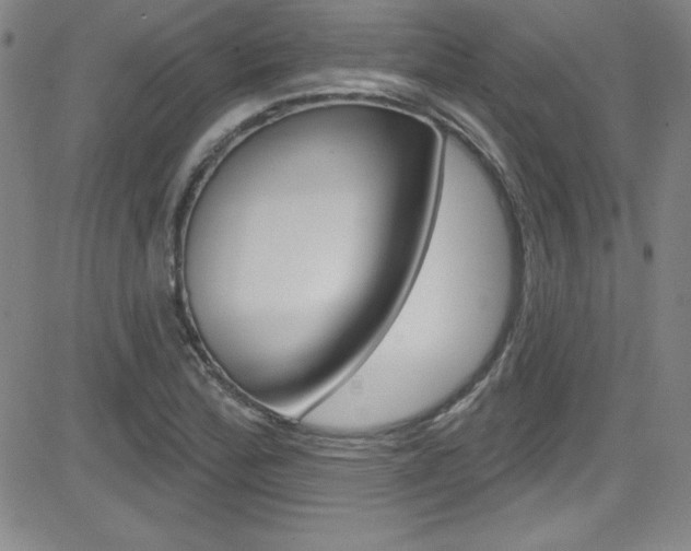 X0000083041172200702020935