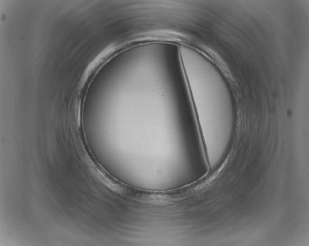 X0000083041180200702020935