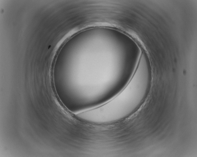 X0000083041181200702020935