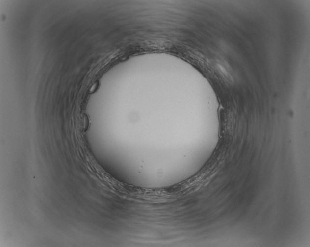 X0000083041201200702020934