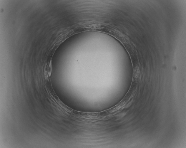 X0000083041202200702020934