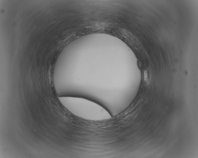 X0000083041203200702020934