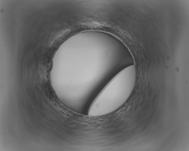 X0000083041205200702020934