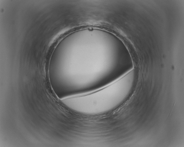 X0000083041214200702020934