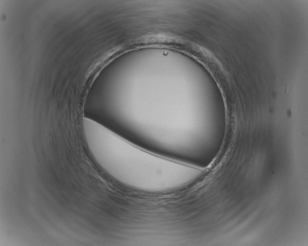 X0000083041217200702020934