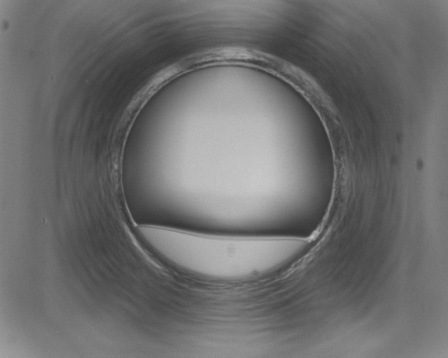 X0000083041225200702020934