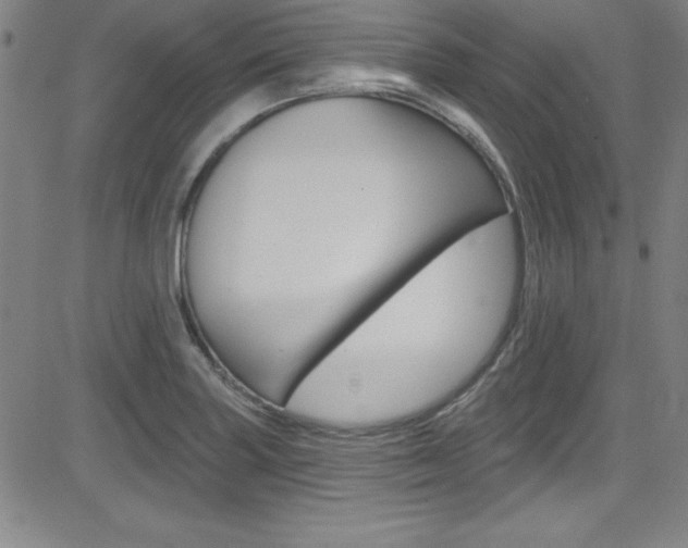 X0000083041227200702020934