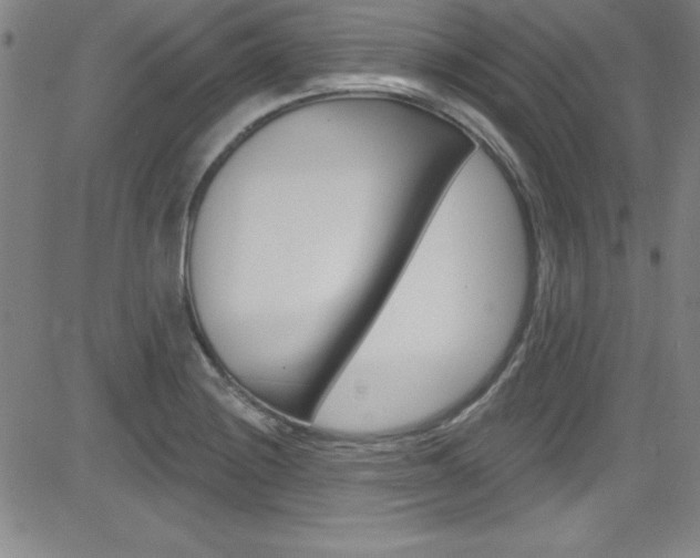 X0000083041228200702020934
