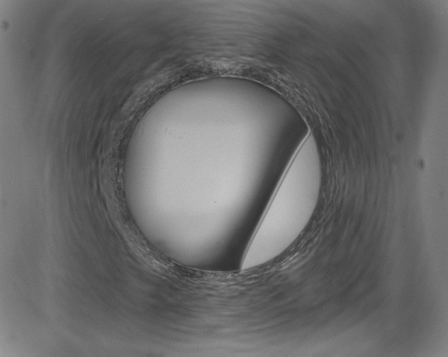 X0000083041249200702020934