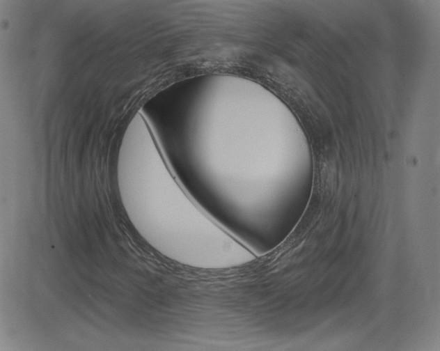 X0000083041250200702020934