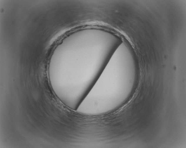 X0000083041263200702020934