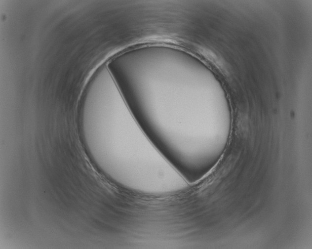 X0000083041268200702020934