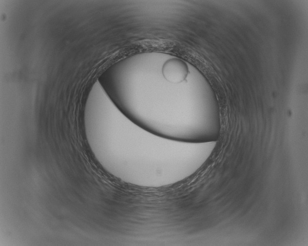X0000083041297200702020932