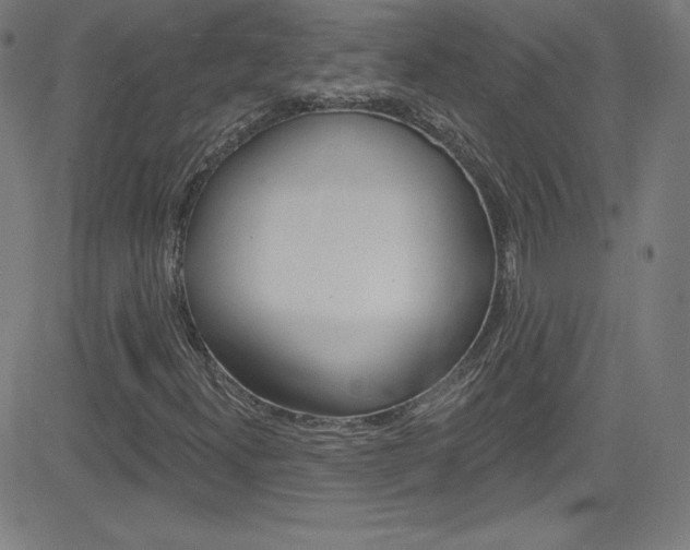 X0000083041300200702020932