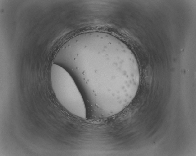 X0000083041302200702020932