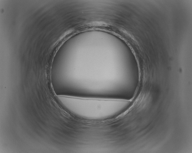 X0000083041305200702020932