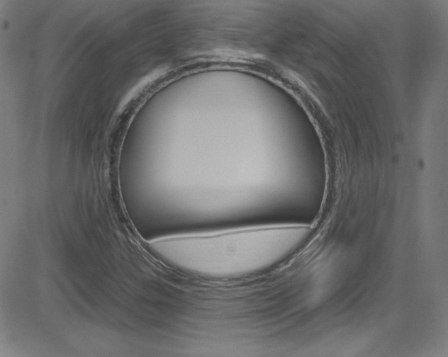 X0000083041307200702020933