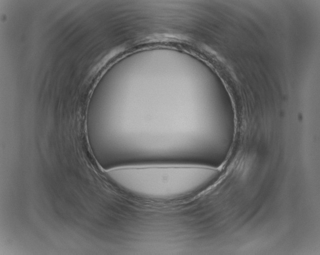 X0000083041313200702020933