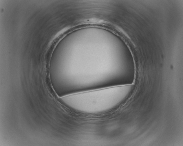 X0000083041315200702020933