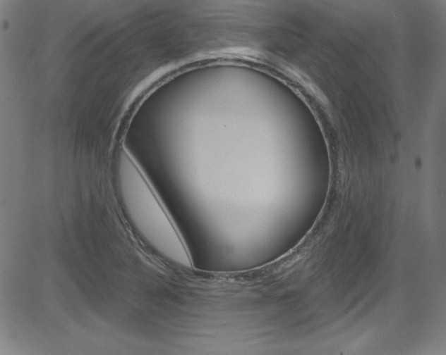 X0000083041316200702020933