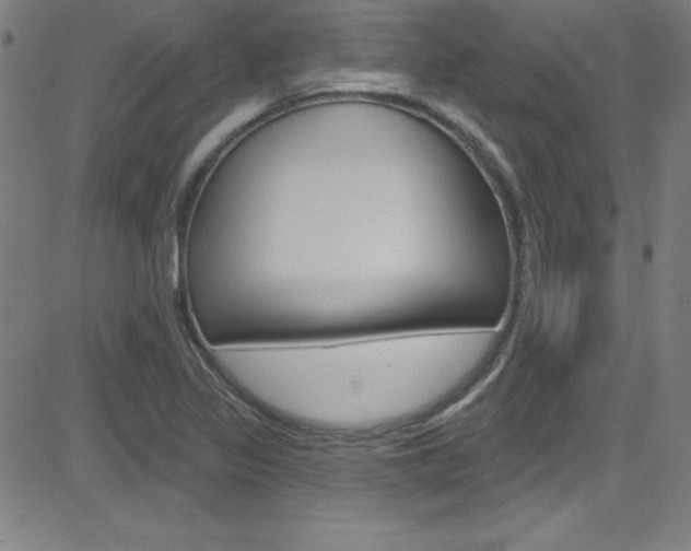 X0000083041317200702020933