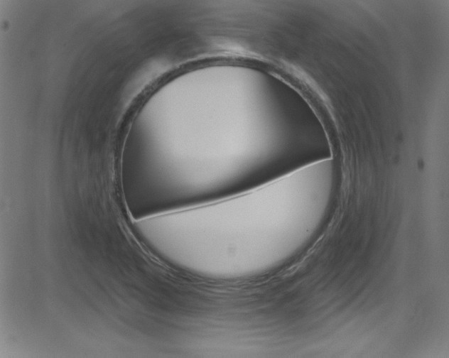 X0000083041318200702020933