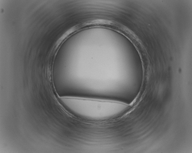 X0000083041321200702020933