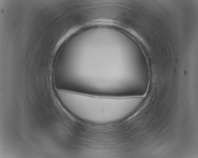 X0000083041325200702020933