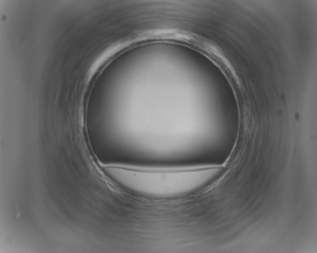 X0000083041328200702020933