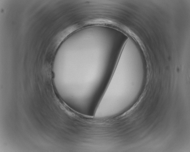 X0000083041329200702020933
