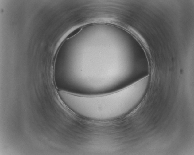 X0000083041340200702020933