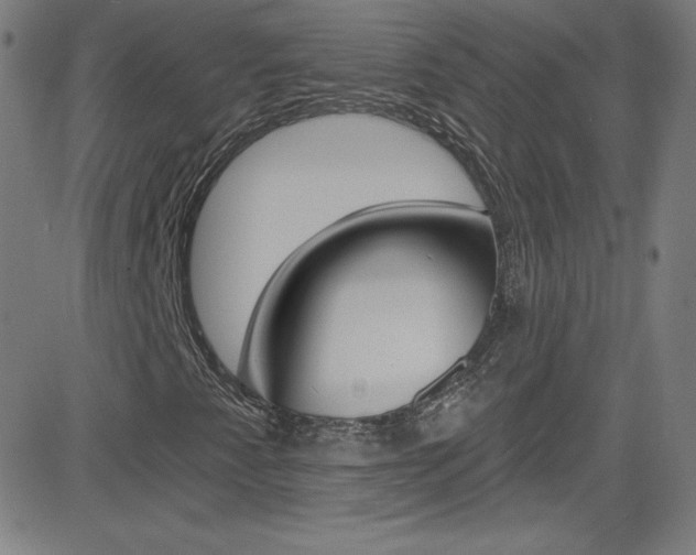 X0000083041345200702020932