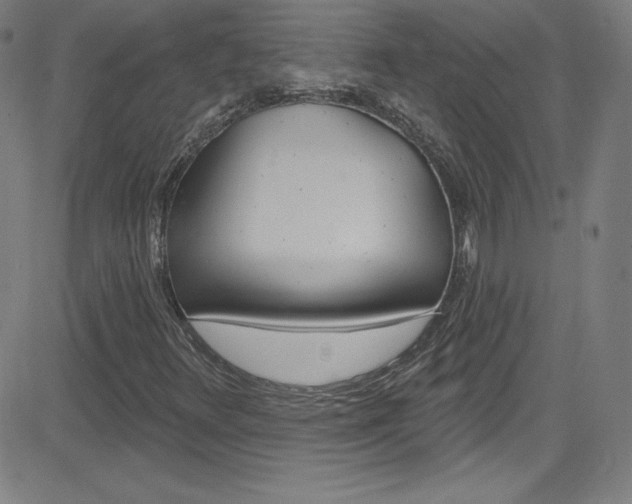 X0000083041348200702020932