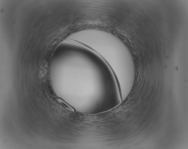 X0000083041349200702020932