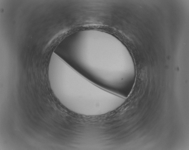 X0000083041351200702020932