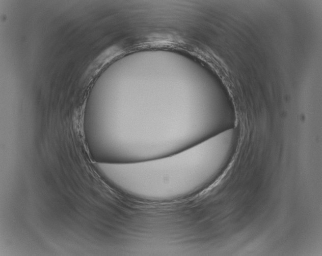 X0000083041353200702020932