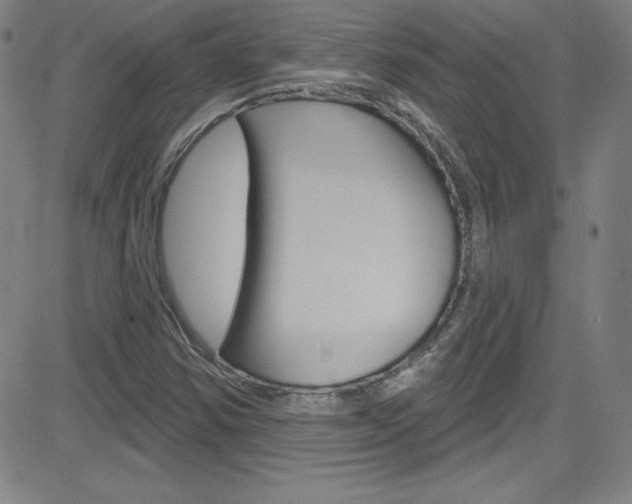 X0000083041354200702020932