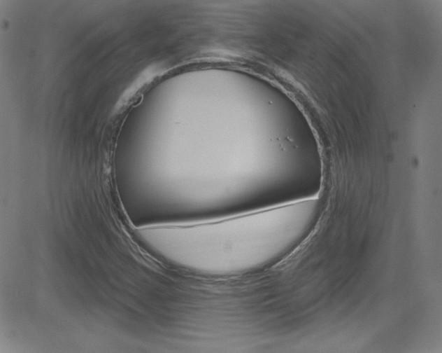 X0000083041355200702020932
