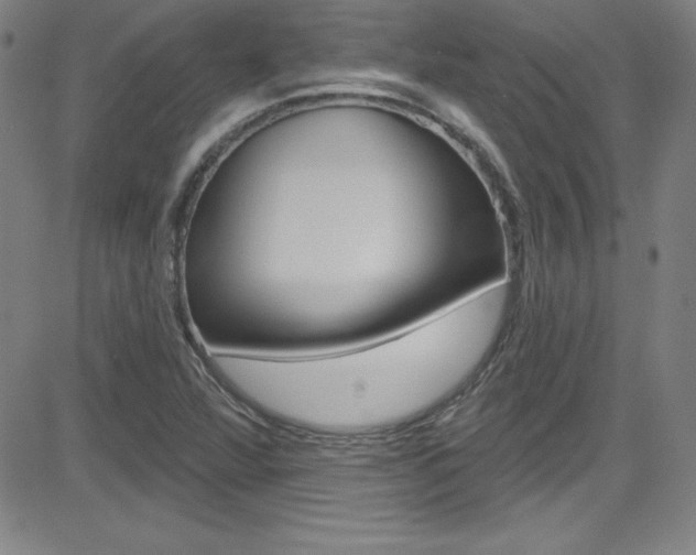 X0000083041360200702020932