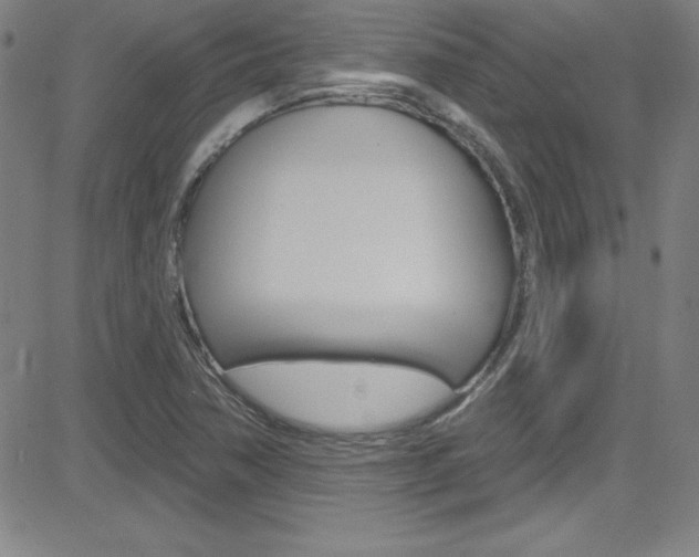 X0000083041362200702020932