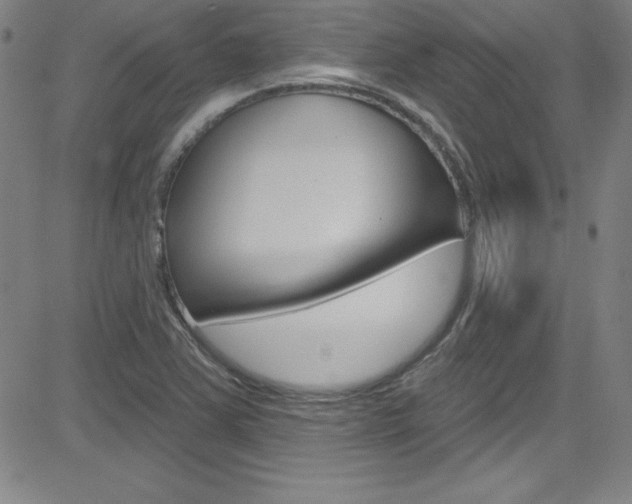 X0000083041363200702020932