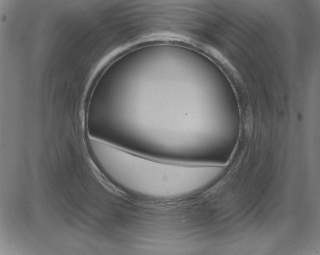 X0000083041372200702020932