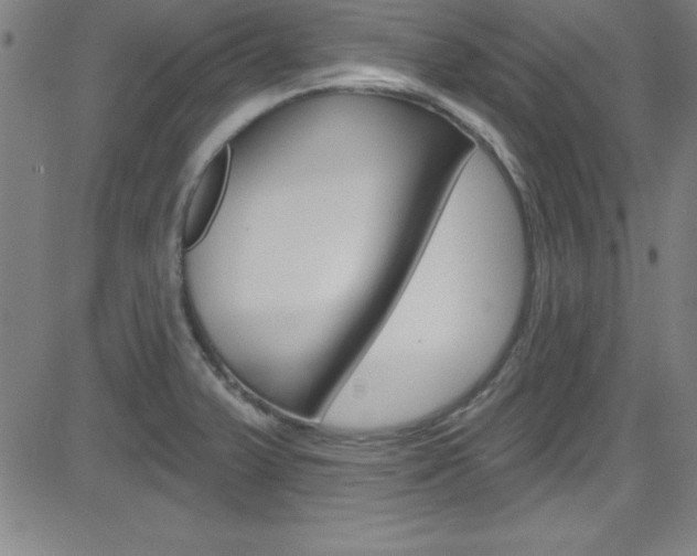 X0000083041375200702020932