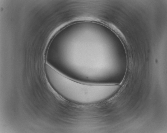 X0000083041380200702020932