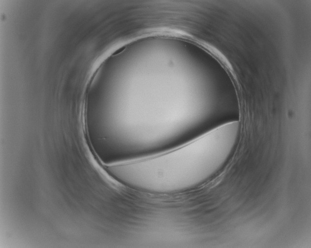 X0000083041391200702020932