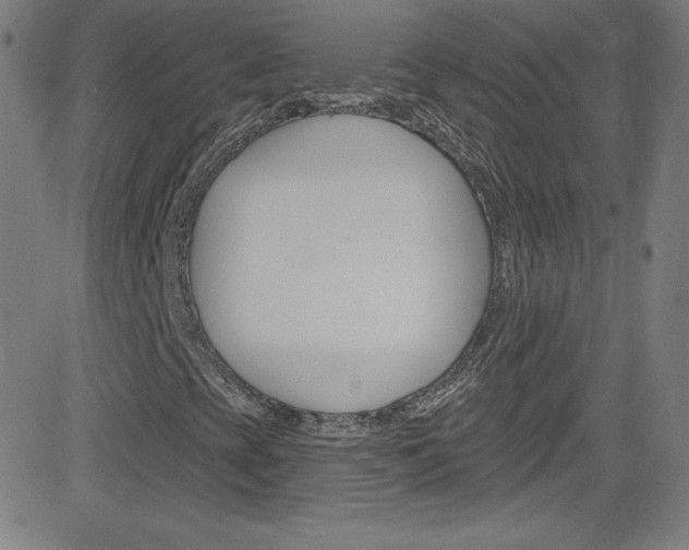 X0000083041393200702020931
