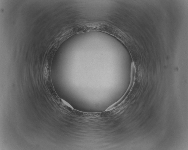 X0000083041394200702020931