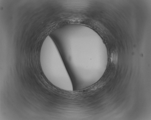 X0000083041396200702020931