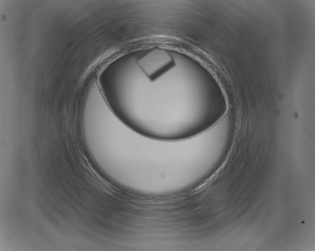 X0000083041402200702020931